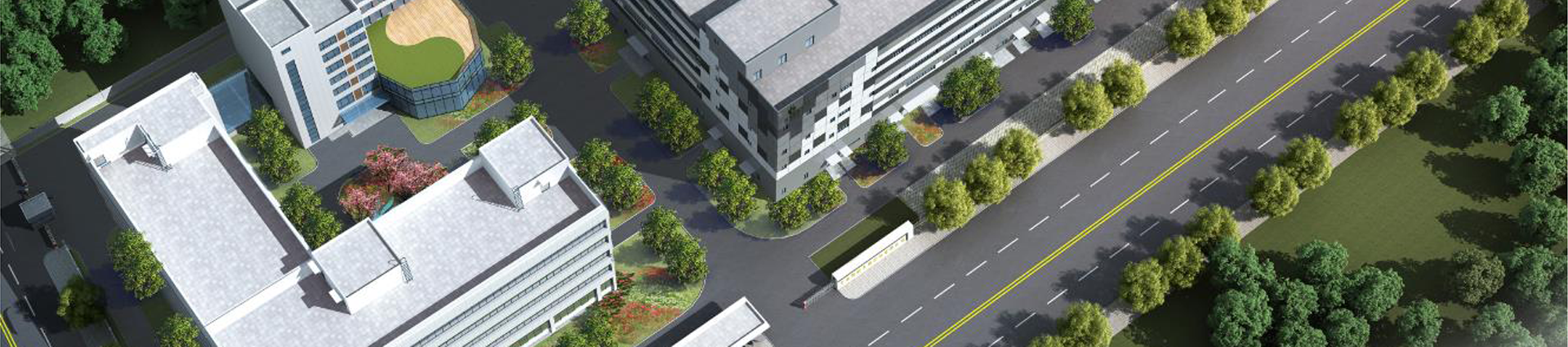 奇异果体育简介